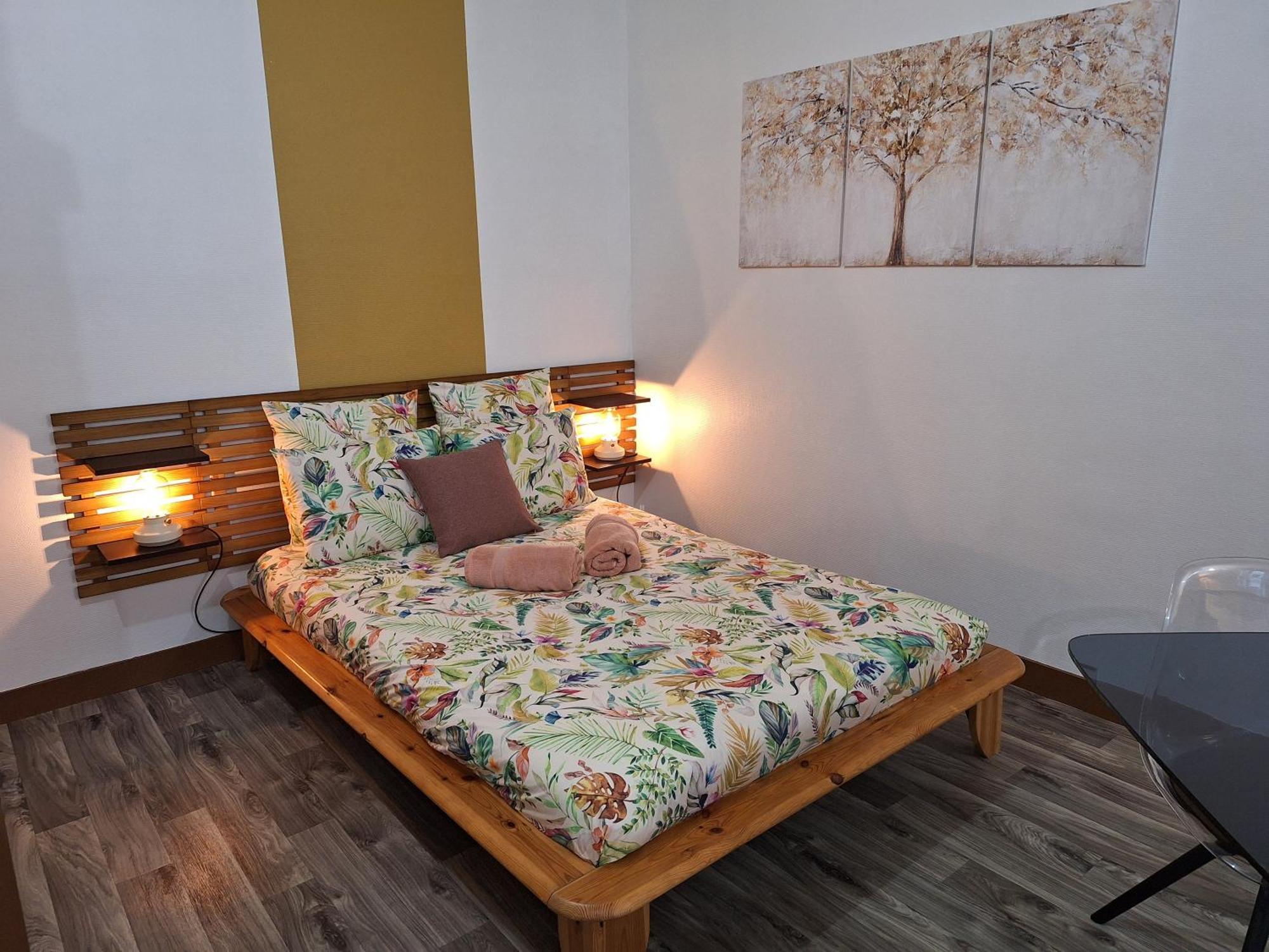 Appartement Bords De Loire Hypercentre 2 Personnes *